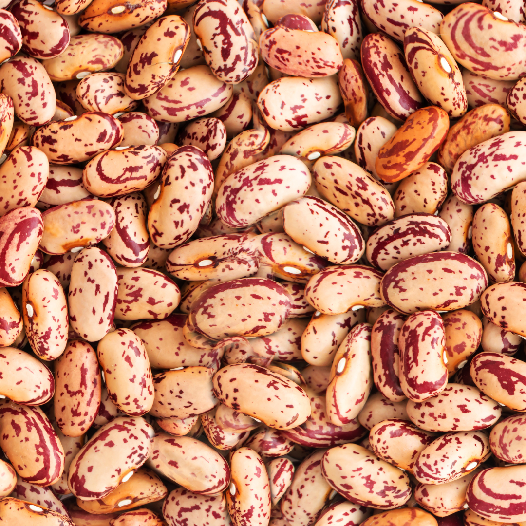 Bush’s Seasoned Pinto Beans