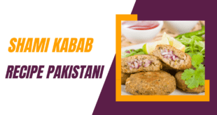 SHAMI KABAB